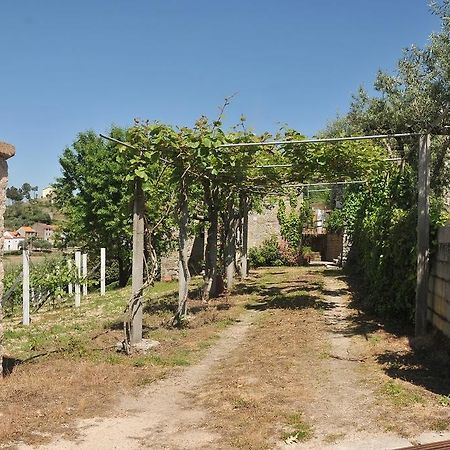 Quinta Do Vale Sanguinho Villa Seia Exterior photo