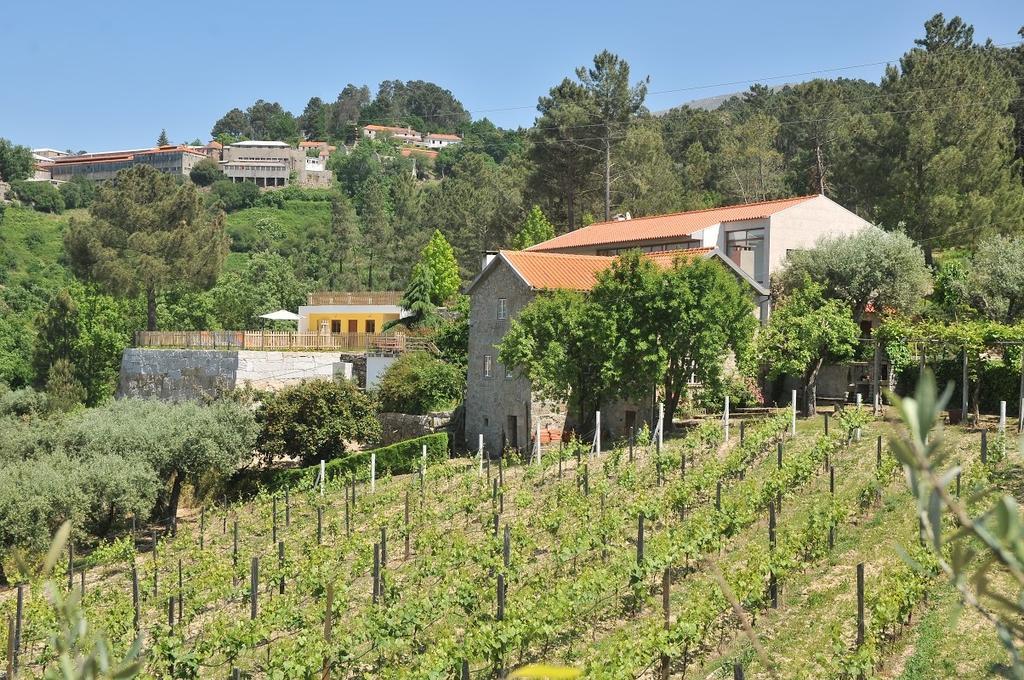 Quinta Do Vale Sanguinho Villa Seia Exterior photo
