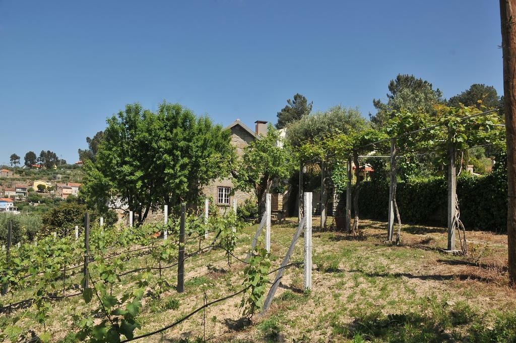 Quinta Do Vale Sanguinho Villa Seia Exterior photo